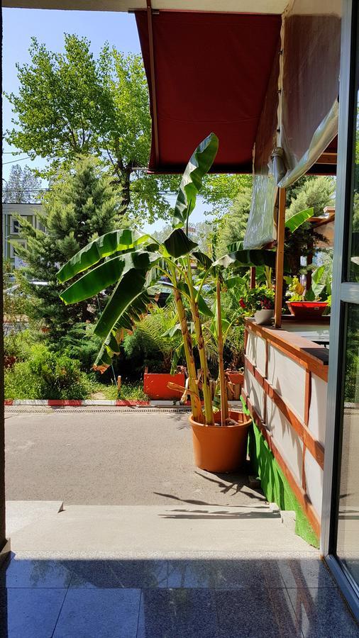 Apartament Coralia Apartment *